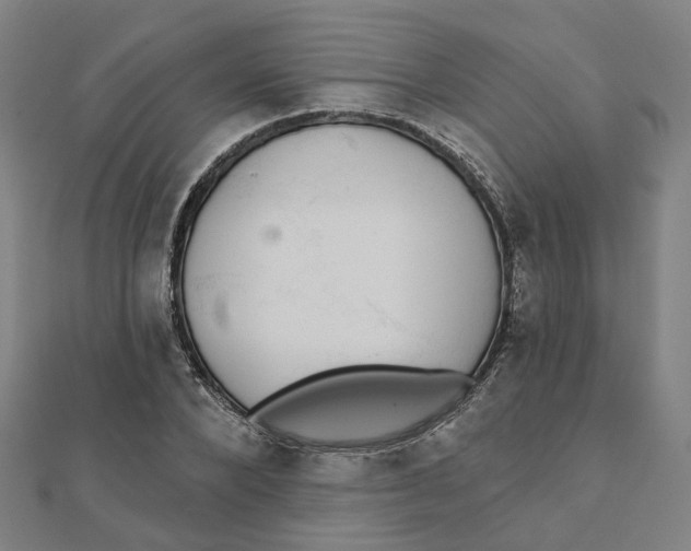 X0000111420880200908101053