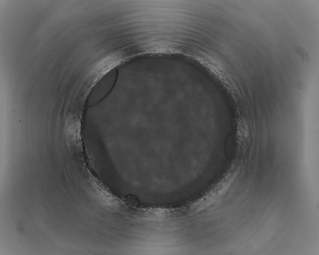 X0000111420881200908101053