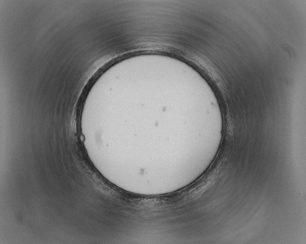 X0000111420883200908101053