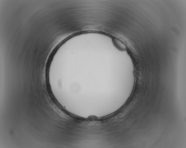 X0000111420884200908101053