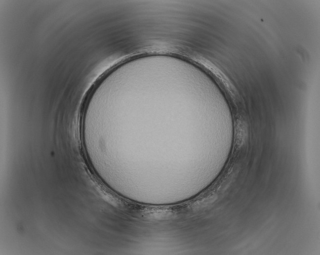X0000111420886200908101053