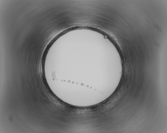 X0000111420887200908101053