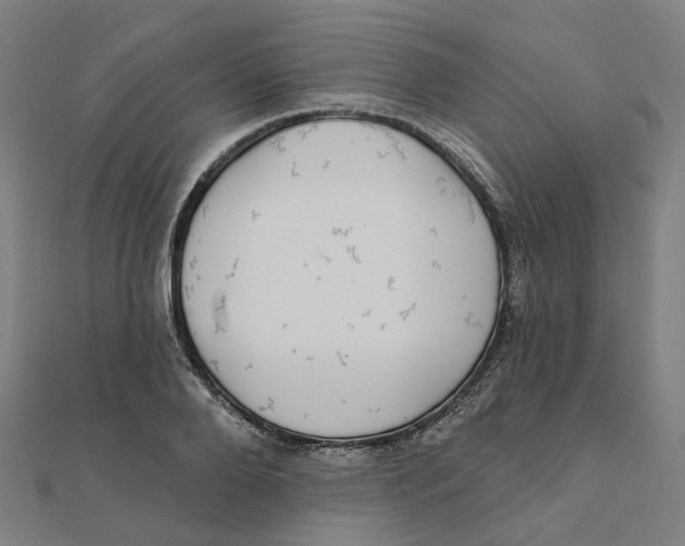 X0000111420888200908101053