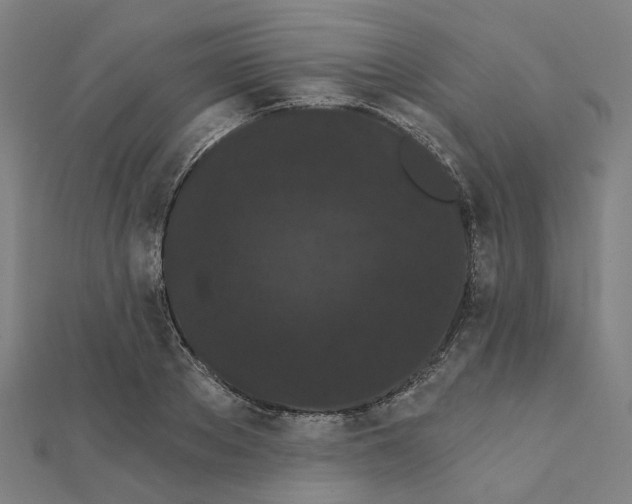 X0000111420889200908101053