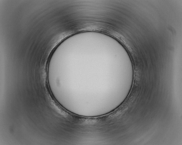 X0000111420890200908101053