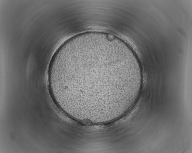 X0000111420891200908101053