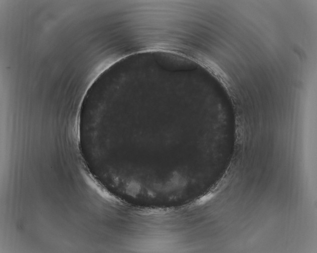 X0000111420892200908101053