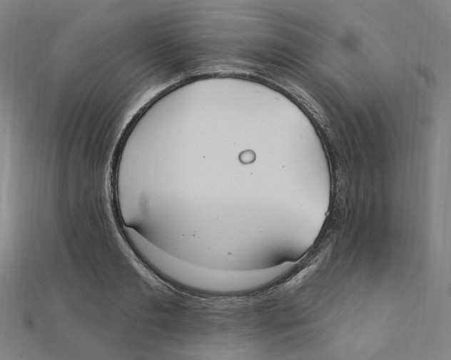 X0000111420893200908101053