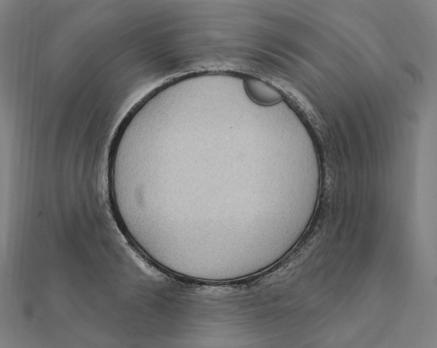 X0000111420894200908101053