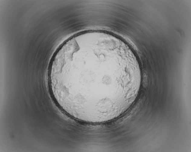 X0000111420895200908101053