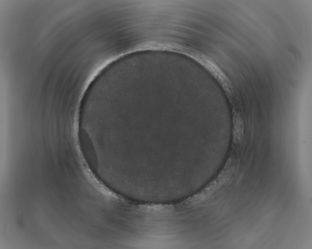 X0000111420896200908101053