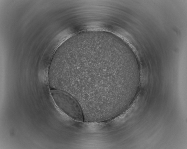 X0000111420897200908101053