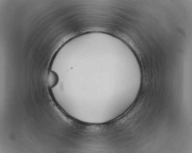 X0000111420898200908101053