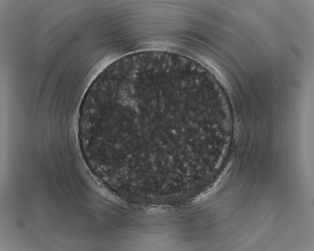 X0000111420899200908101053