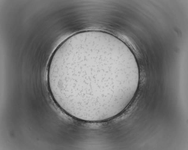 X0000111420900200908101053