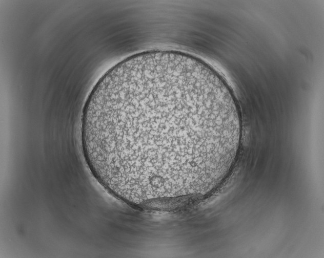X0000111420903200908101053