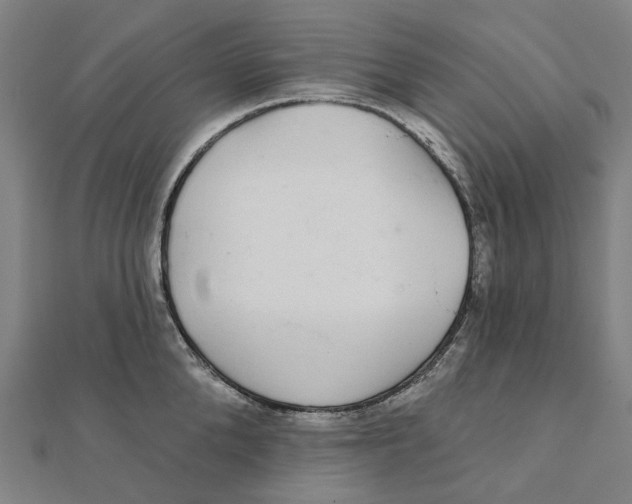 X0000111420904200908101053