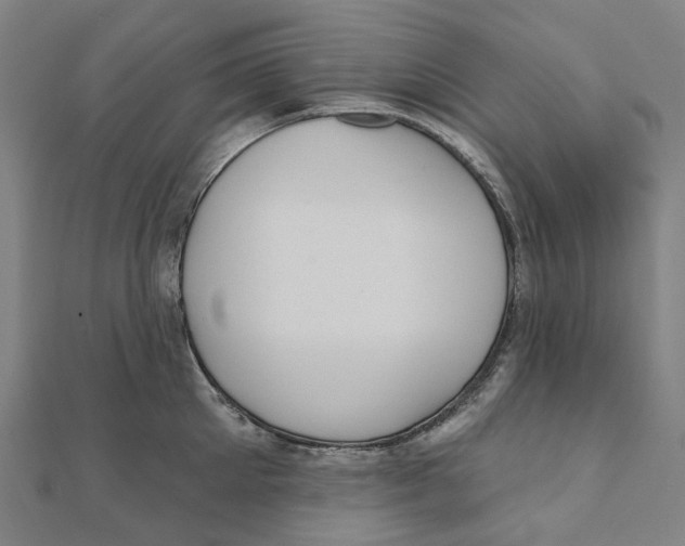 X0000111420905200908101053