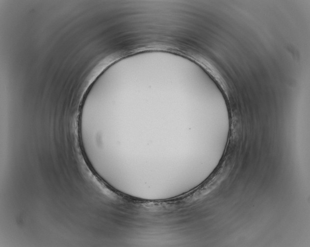 X0000111420906200908101053