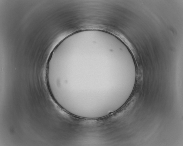 X0000111420909200908101053