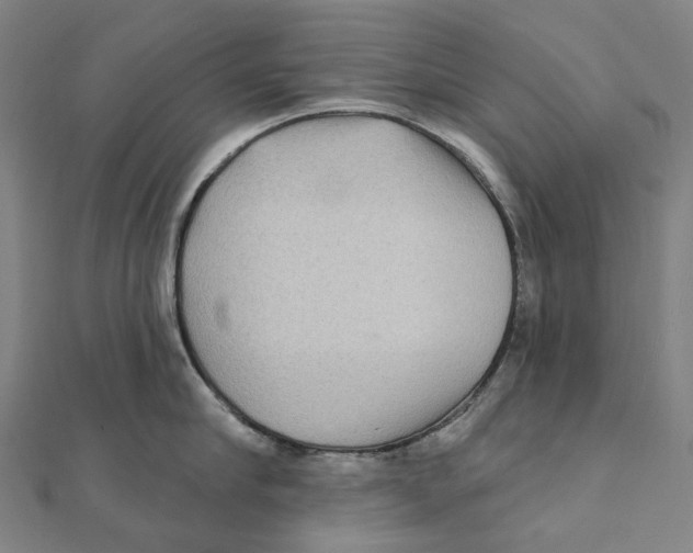 X0000111420910200908101053
