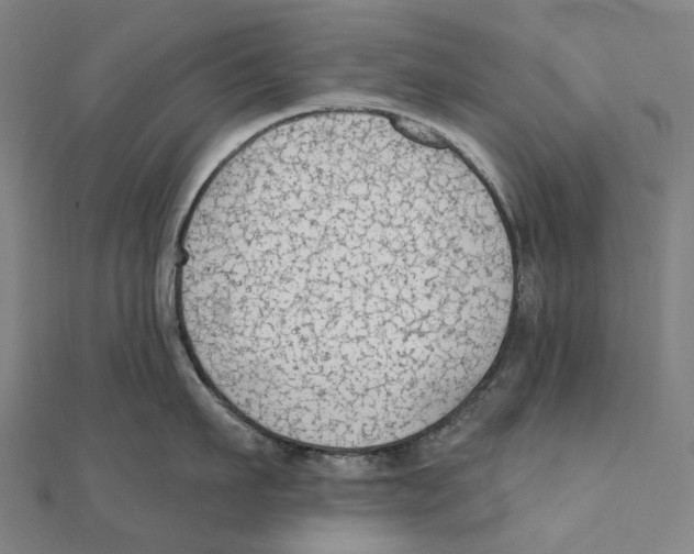 X0000111420911200908101053