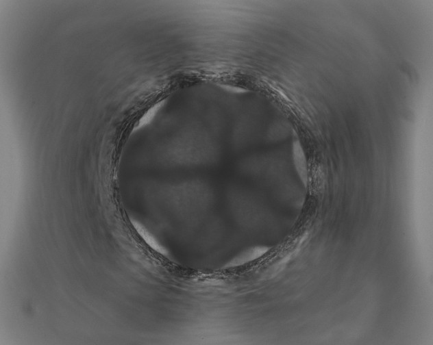 X0000111420913200908101052