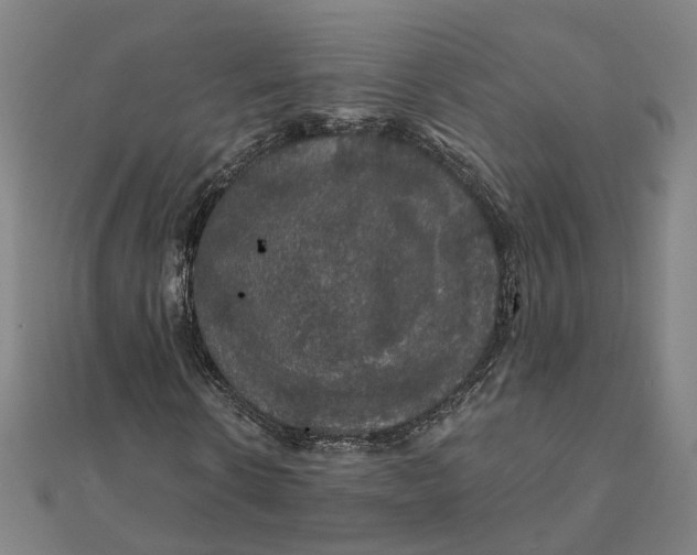 X0000111420914200908101052