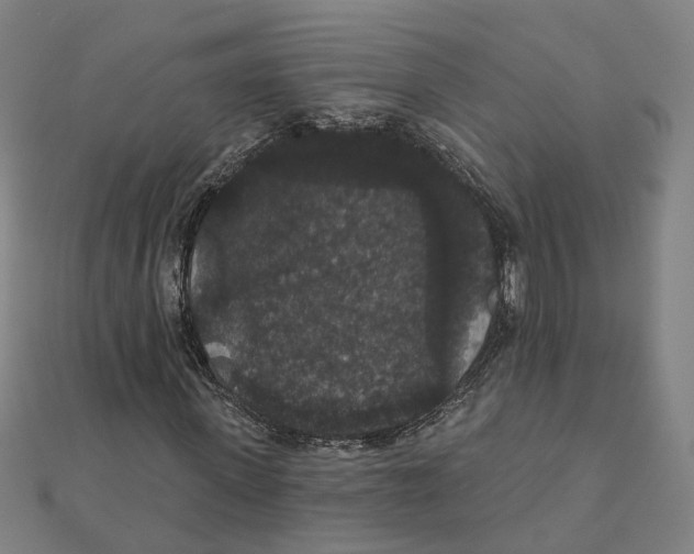 X0000111420915200908101053