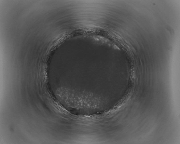 X0000111420916200908101053
