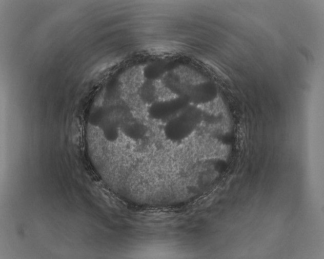 X0000111420917200908101053