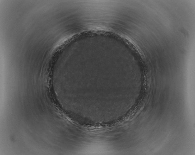 X0000111420919200908101053