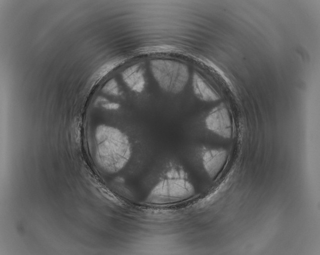 X0000111420921200908101053