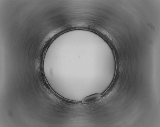 X0000111420922200908101053