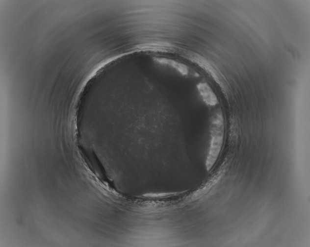 X0000111420923200908101053