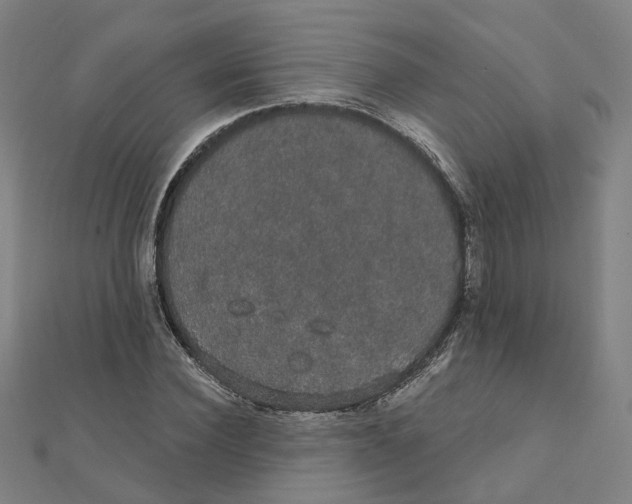 X0000111420924200908101053