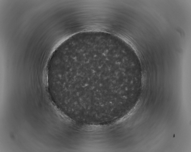 X0000111420925200908101053
