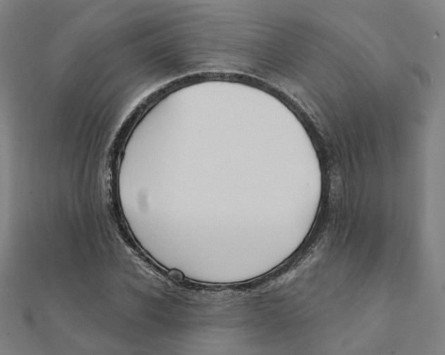 X0000111420926200908101053
