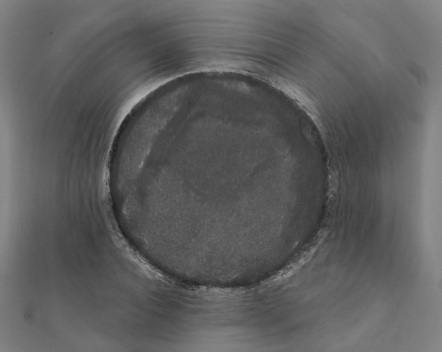 X0000111420928200908101053