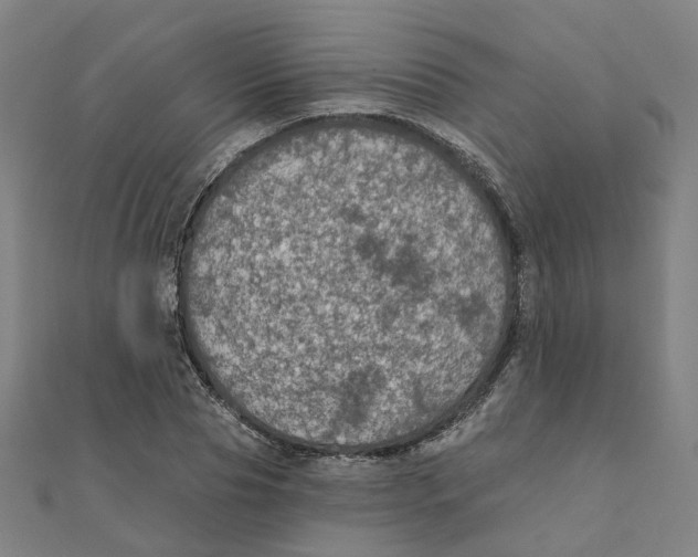 X0000111420929200908101053