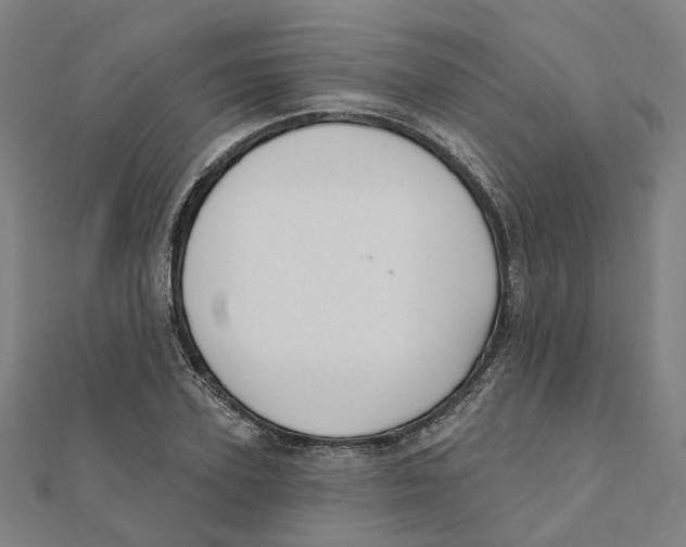 X0000111420931200908101053