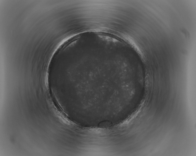 X0000111420932200908101053