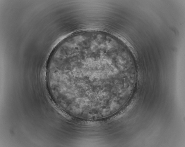 X0000111420933200908101053