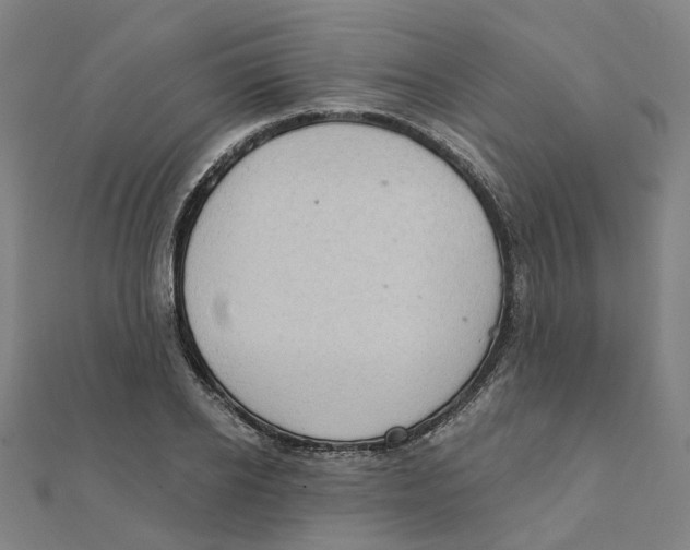 X0000111420934200908101053