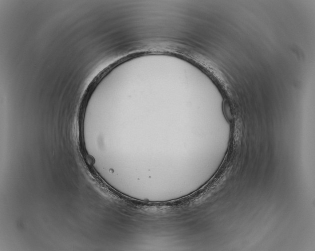 X0000111420936200908101053