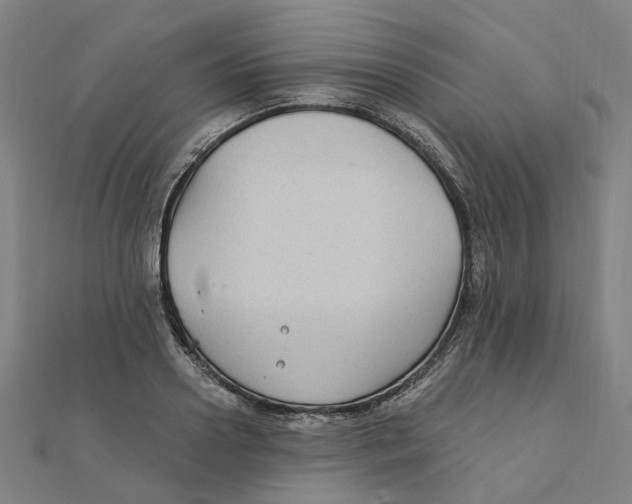 X0000111420938200908101053