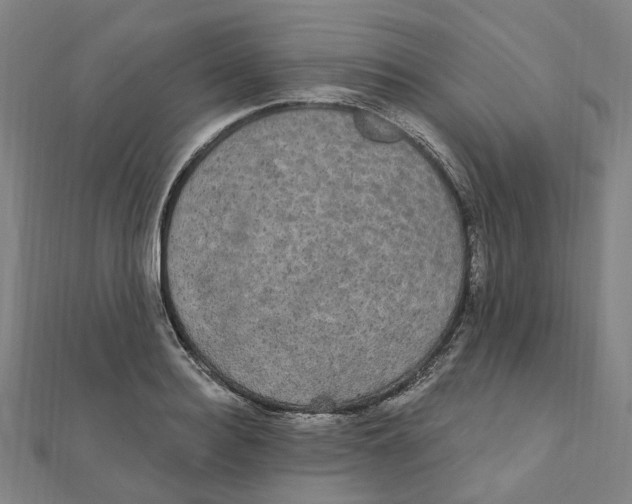 X0000111420940200908101053