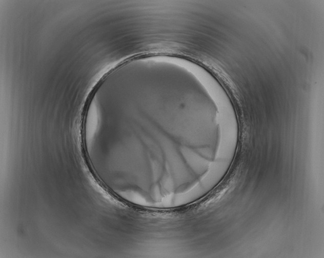 X0000111420941200908101053