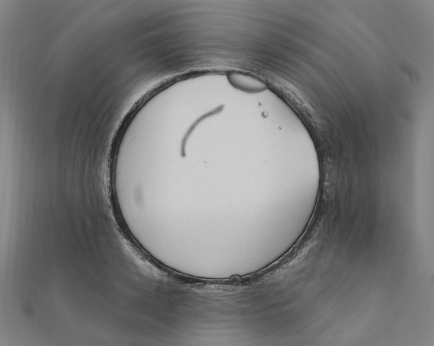 X0000111420942200908101053