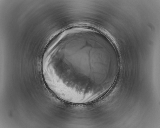 X0000111420945200908101053